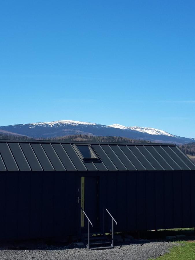 Arnikowa Widokowka Villa Sosnowka  Bagian luar foto